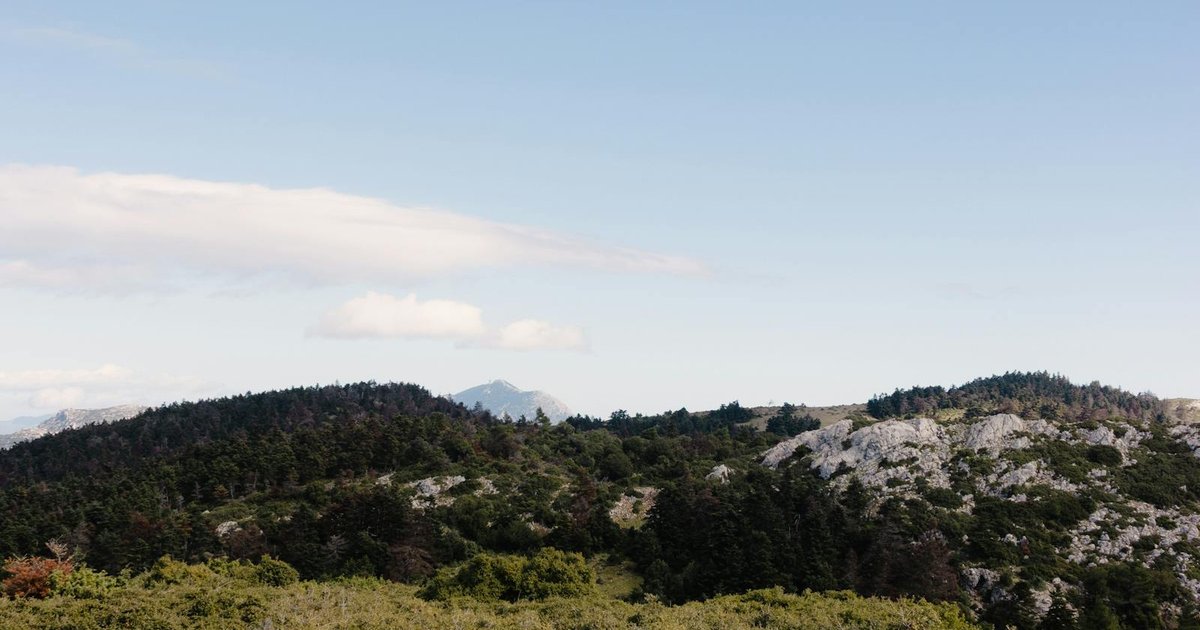 Hiking trail through ancient olive grove on Corfu with mountain views